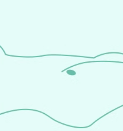 DERMOXEN CHX Cleansing & Antipruritic Pills (Internal Use)