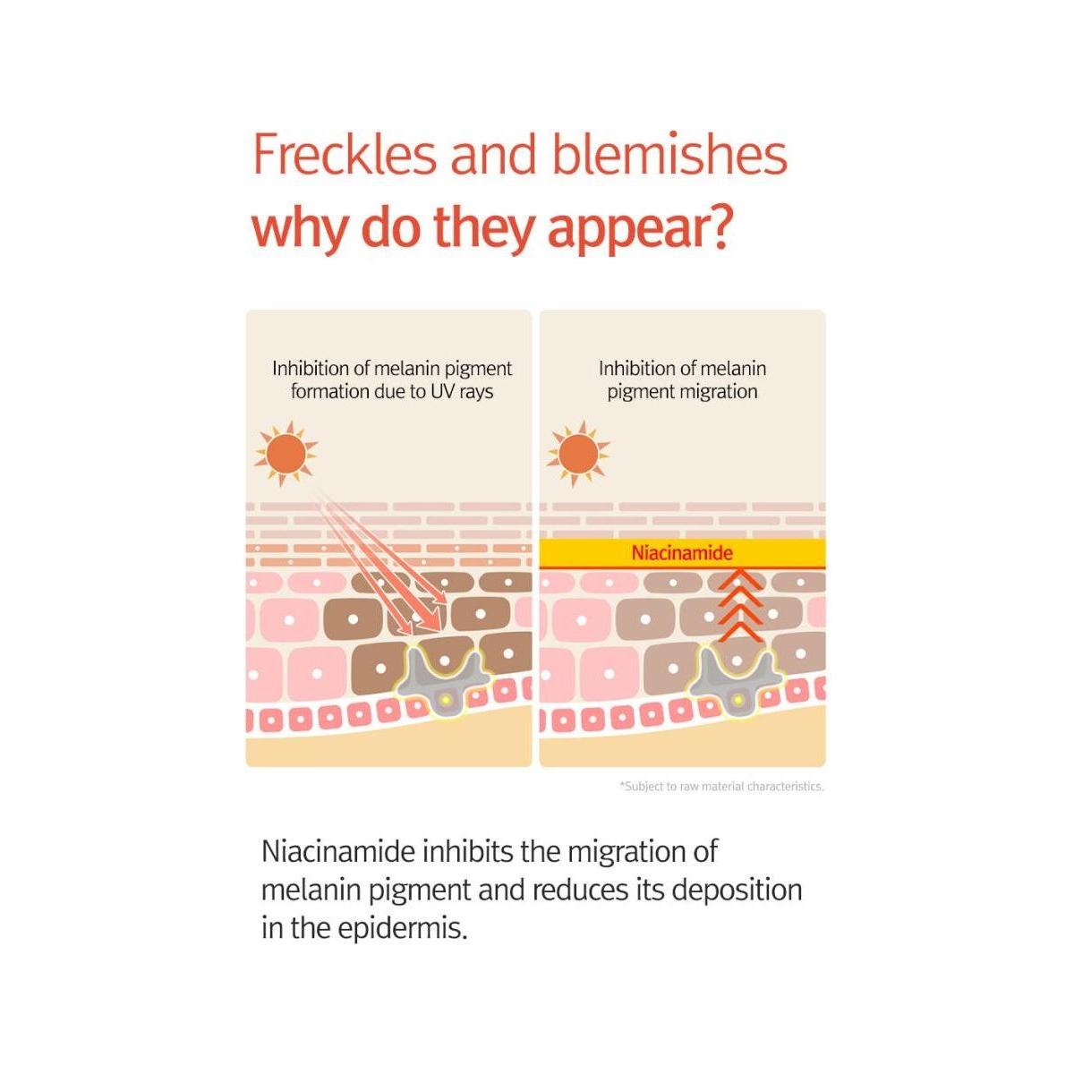 12GRABS 10 Elements Vita Serum - 50ml | Brighten, Hydrate & Strengthen Skin