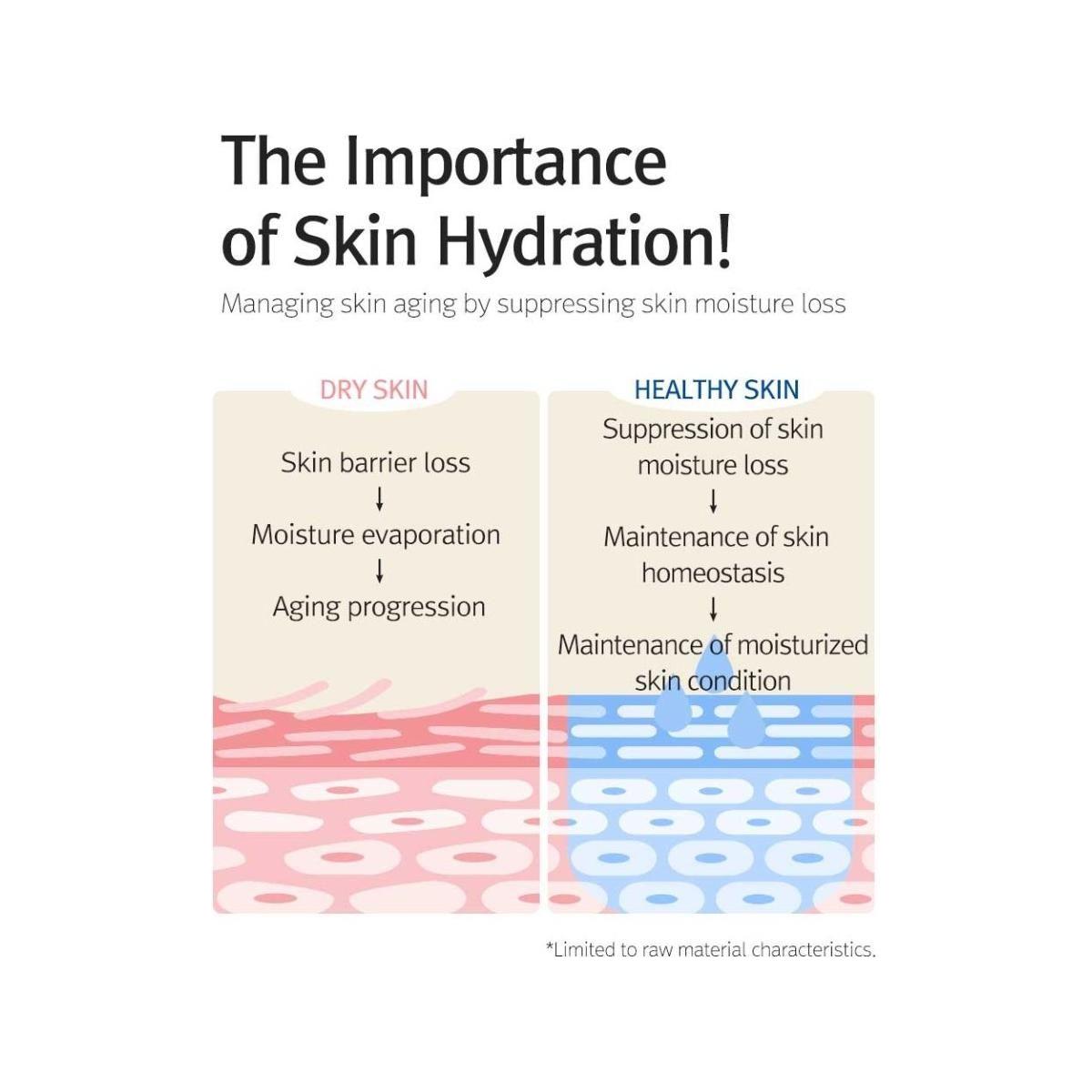 12GRABS Octuple Hyaluron Moist Essence - Intense Hydration & Skin Barrier Care (50ml)