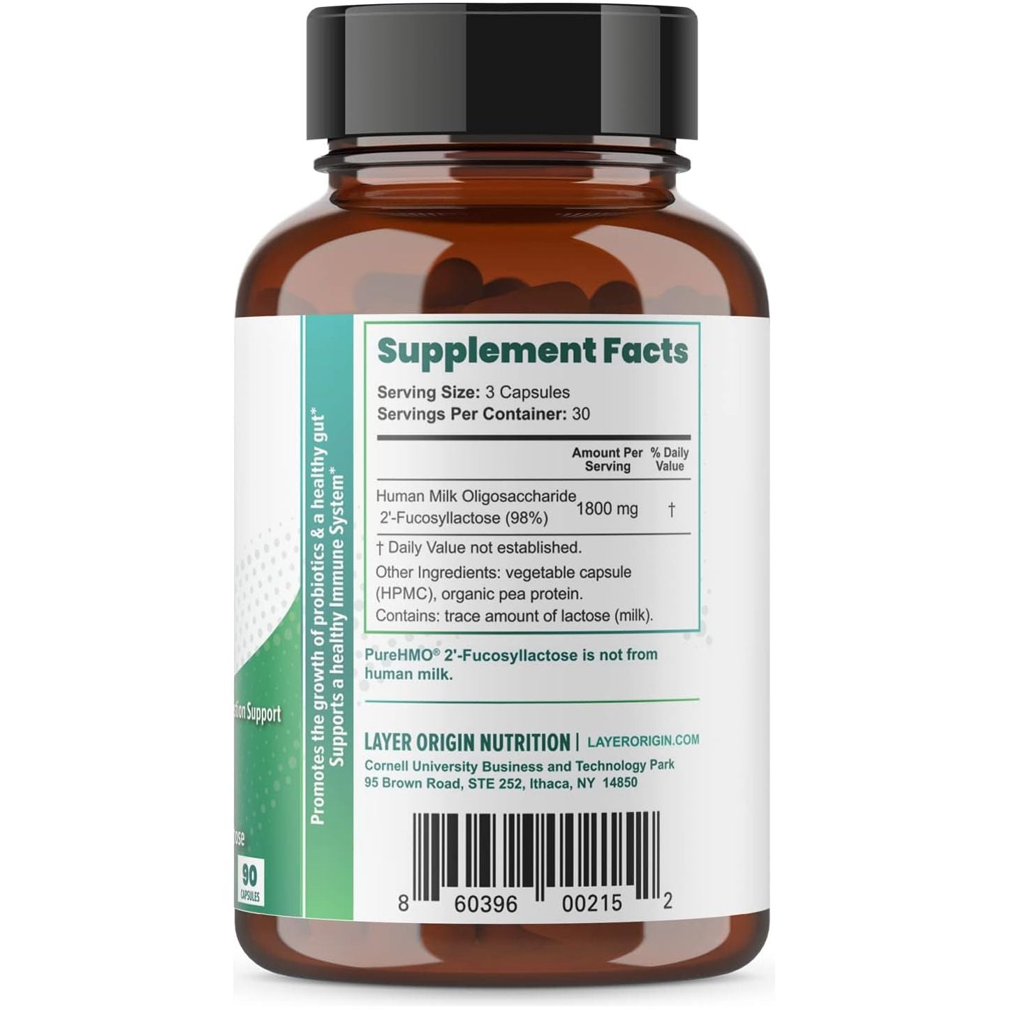 Layer Origin PureHMO Prebiotic – 90 Capsules, 30-Day Supply | Gut, Immune & Cognitive Health Support with 98% Pure 2’-FL