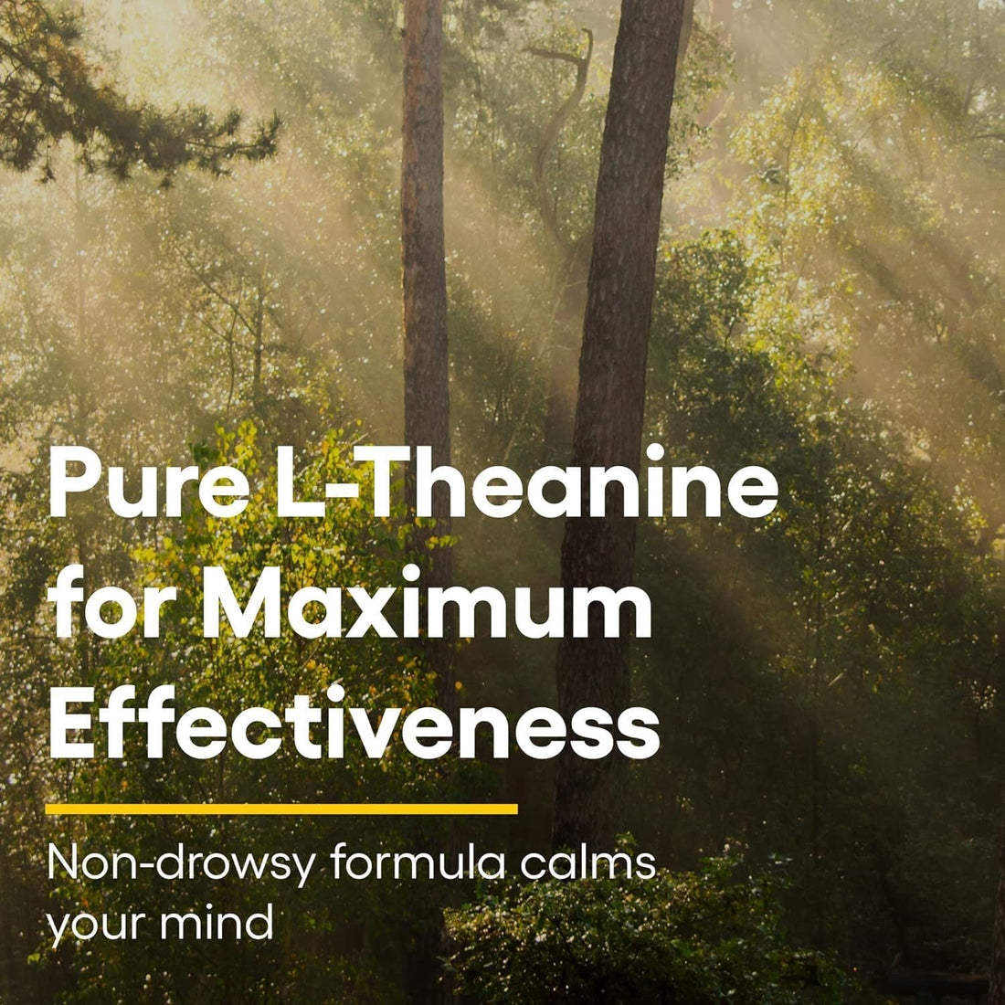 Natural Factors Stress-Relax Suntheanine L-Theanine 100mg 60 Chewable Tablets | Fast-Acting Stress Relief & Calm Focus (Tropical Fruit Flavor)