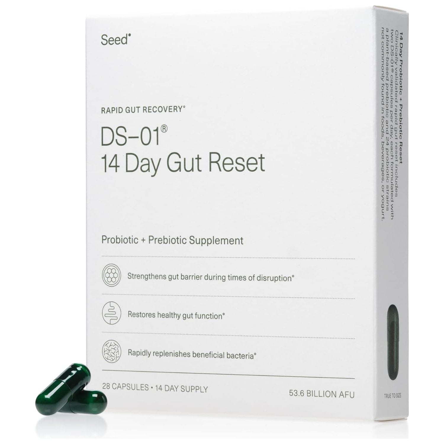 Seed DS-01? 14-Day Gut Reset - 28 Capsules | Rapid Gut Relief & Microbiome Support
