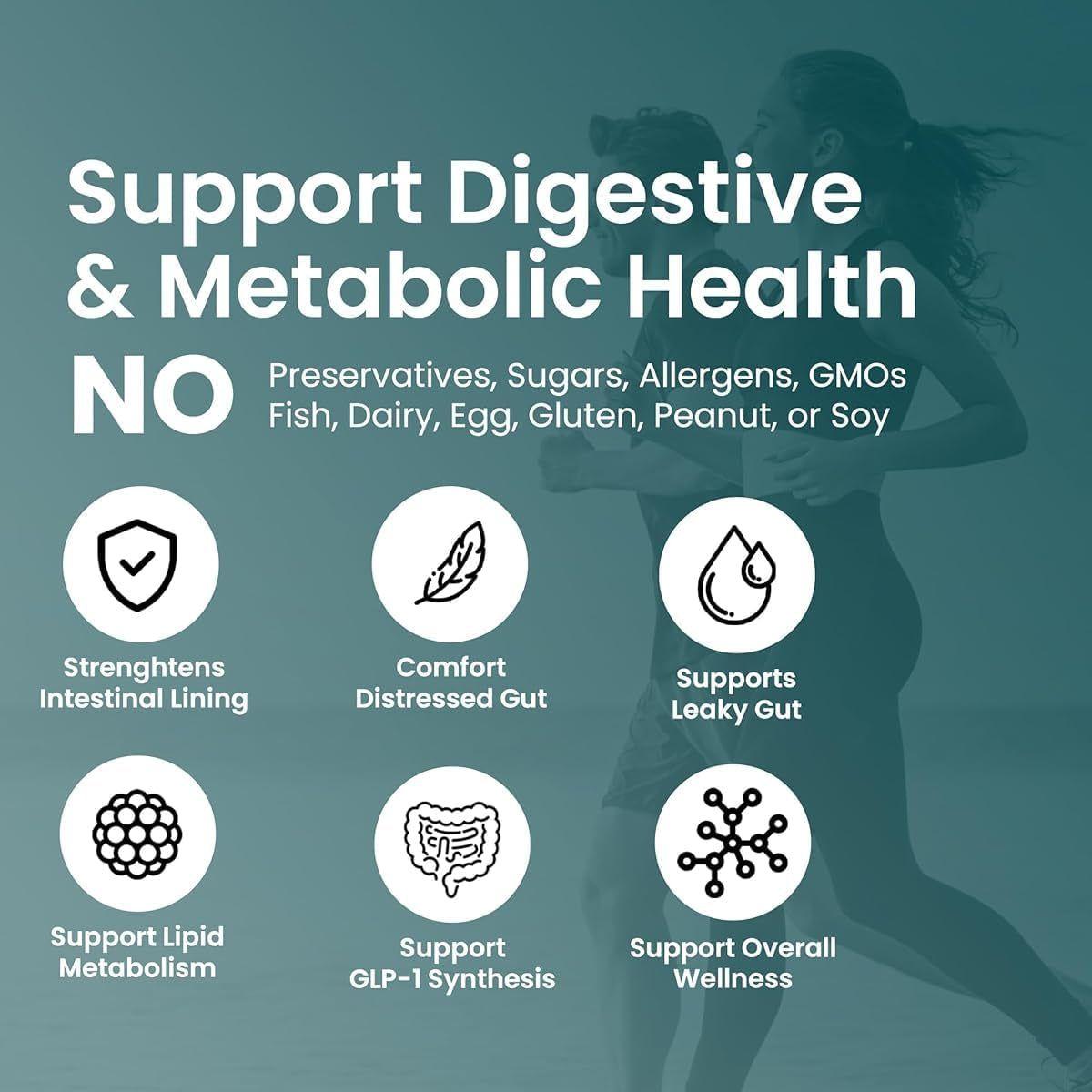 UpNourish Akkermansia Muciniphila - 60 Capsules | Advanced Gut Health & Metabolism Support