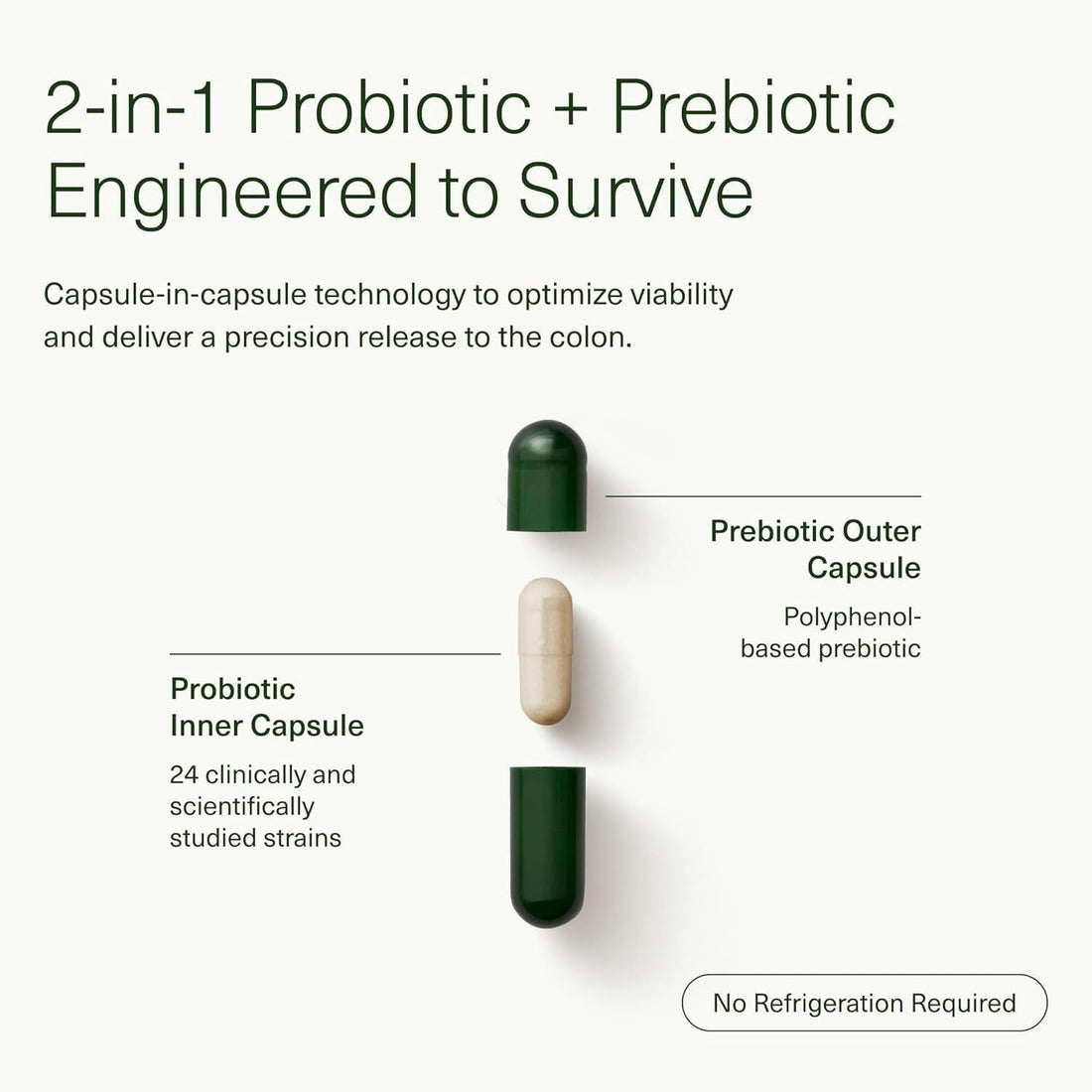 Seed DS-01? 14-Day Gut Reset - 28 Capsules | Rapid Gut Relief & Microbiome Support