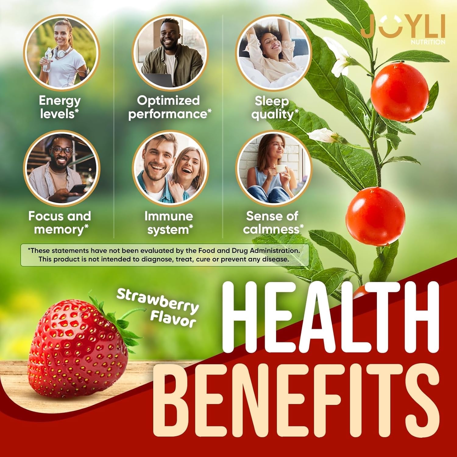 JOYLI Nutrition Ashwagandha Gummies 60 Gummies | Natural Stress Relief & Sleep Support