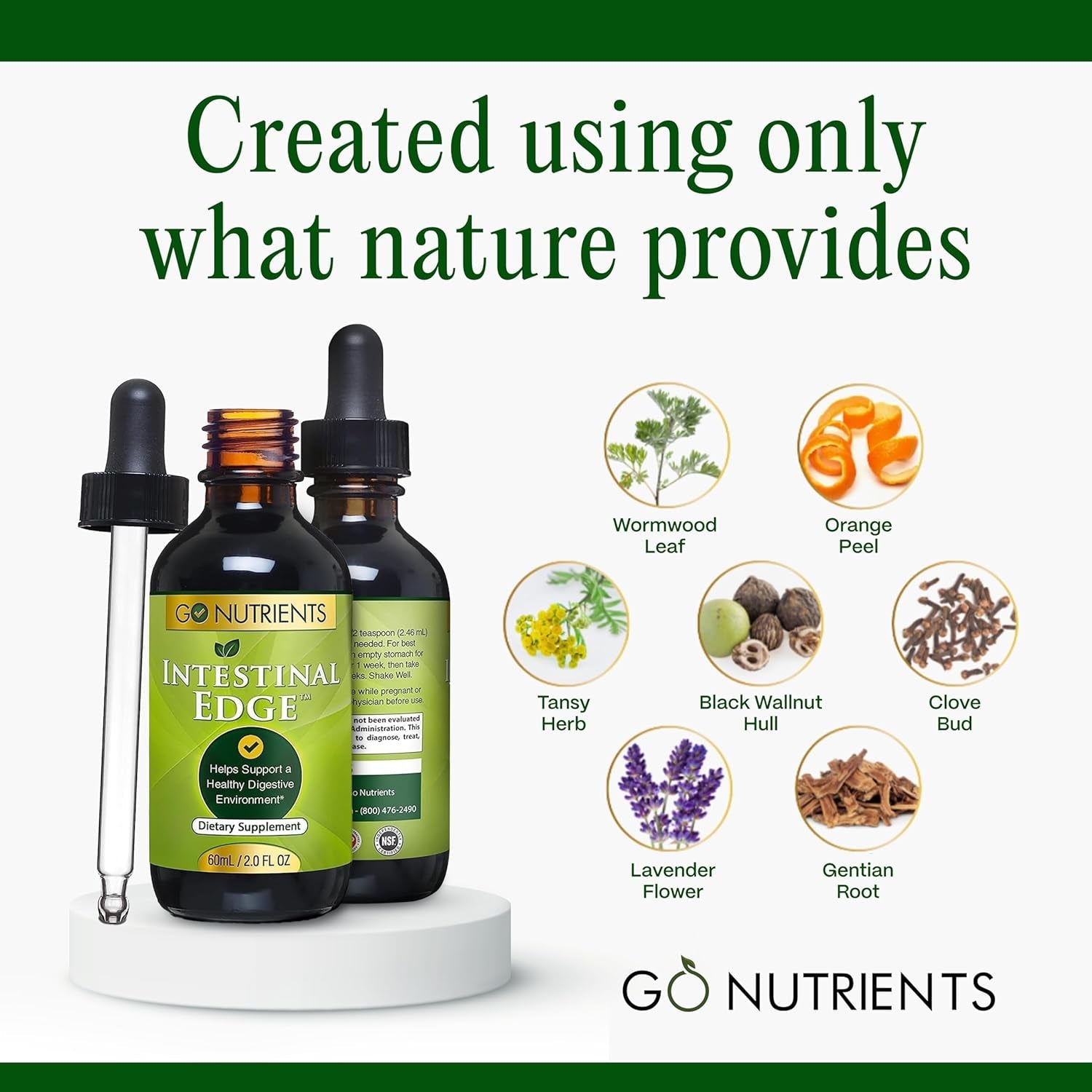 Go Nutrients 7-In-1 Intestinal Edge – 60ml | Herbal Gut & Parasite Cleanse with Wormwood, Clove & Black Walnut