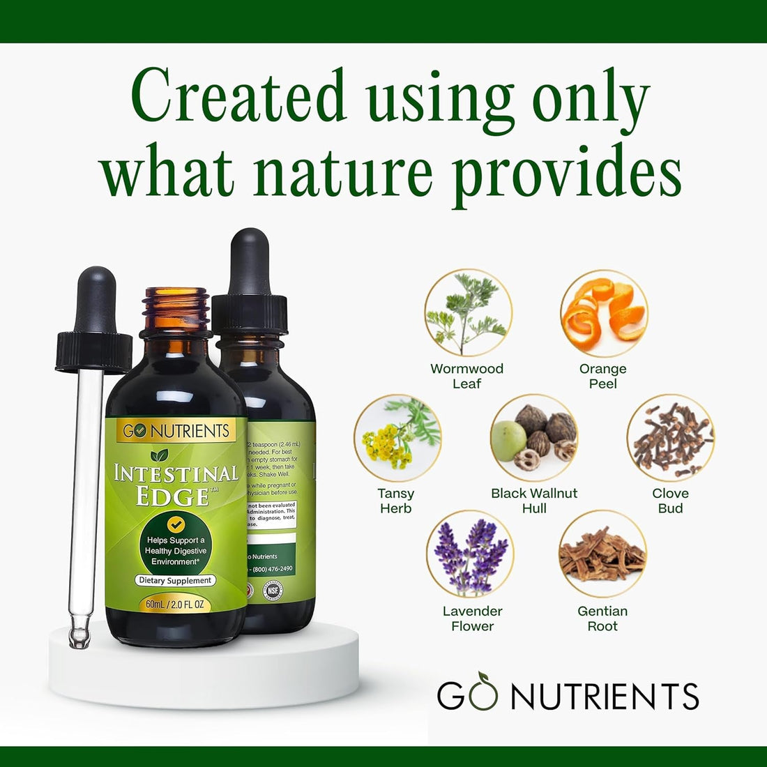 Go Nutrients 7-In-1 Intestinal Edge – 60ml | Herbal Gut & Parasite Cleanse with Wormwood, Clove & Black Walnut