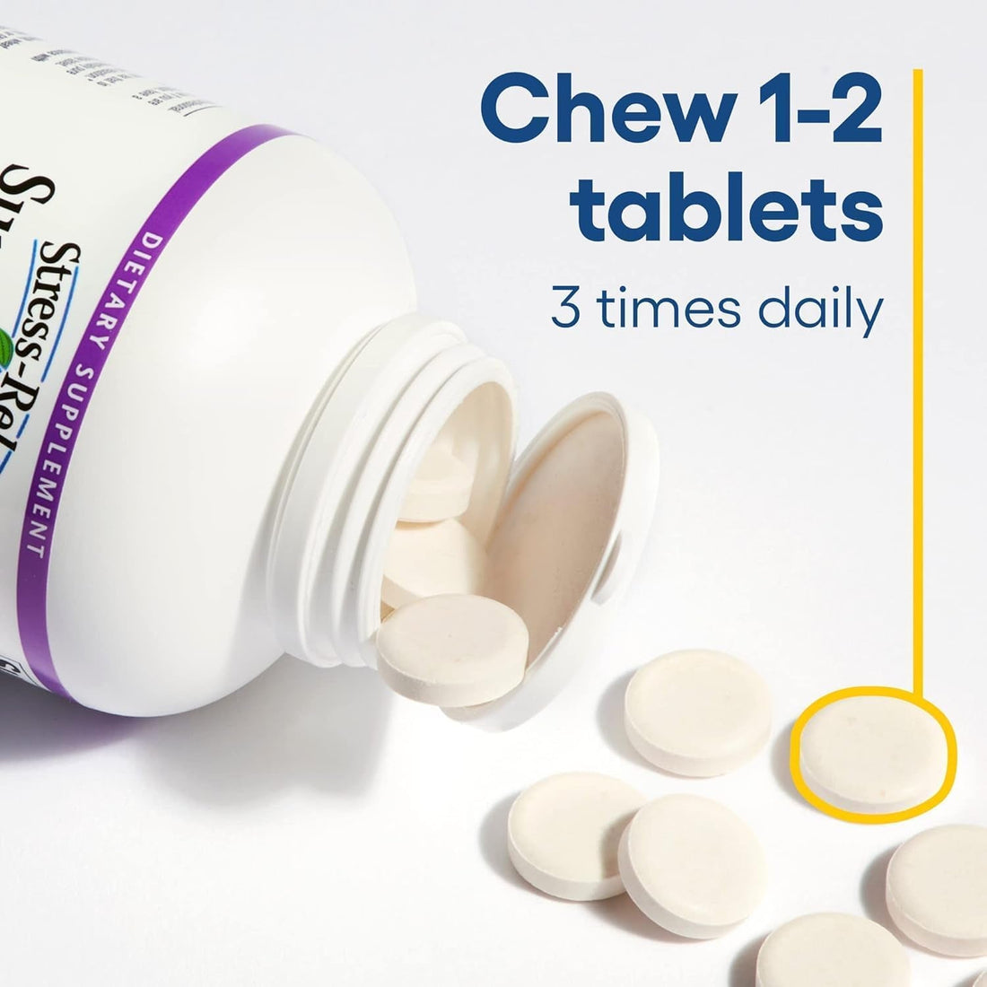 Natural Factors Stress-Relax Suntheanine L-Theanine 100mg 60 Chewable Tablets | Fast-Acting Stress Relief & Calm Focus (Tropical Fruit Flavor)