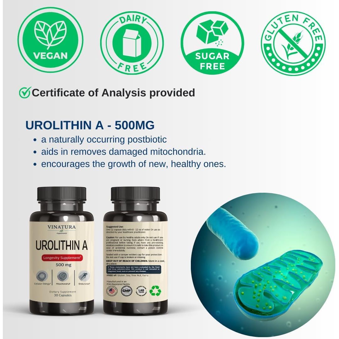 VINATURA Urolithin A+ 500mg, 30 Capsules | Mitochondrial Health & Anti-Aging Cellular Energy Support