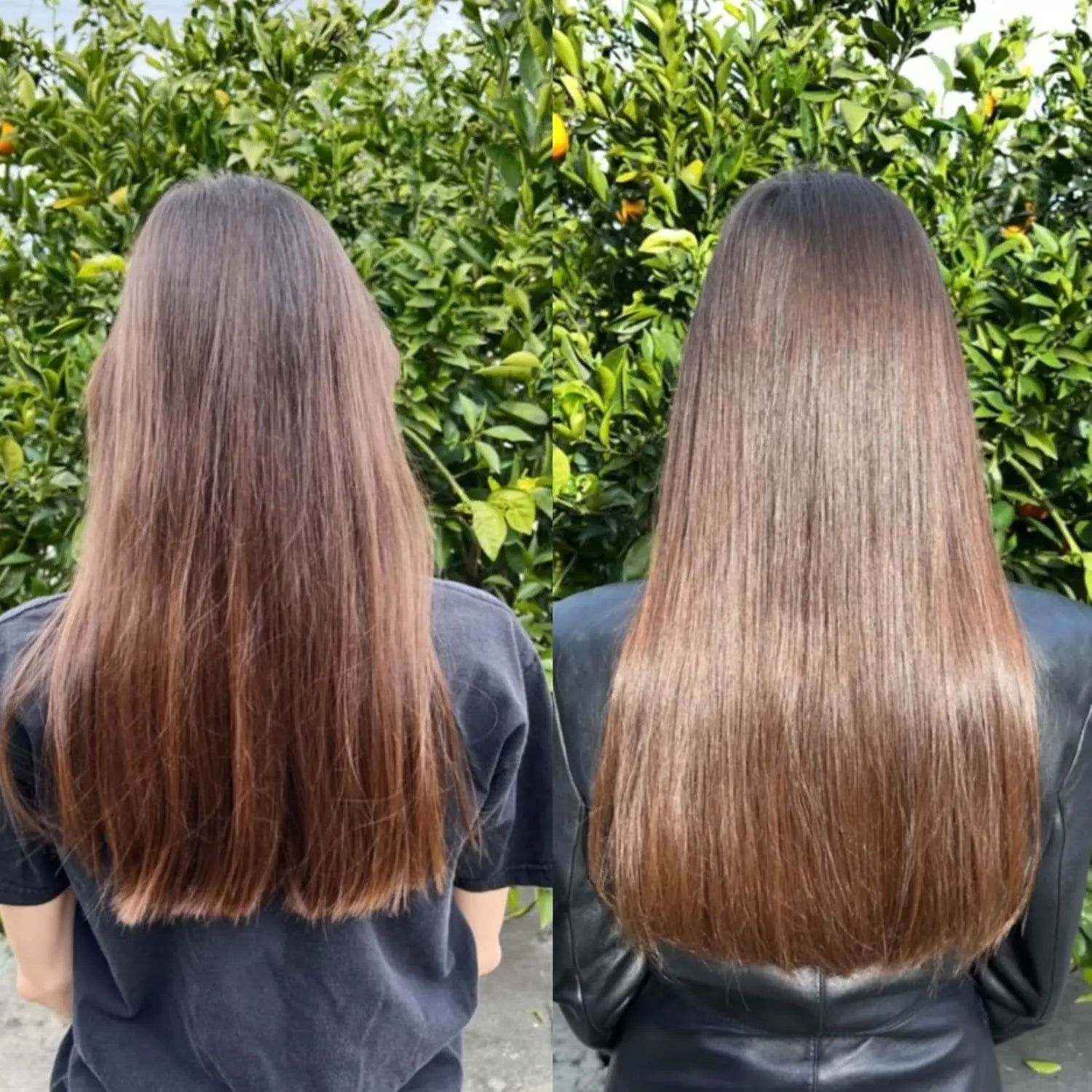 Bur Bur Growing Season Botanical Hair Growth Oil – 50ml | Strengthen, Repair & Boost Natural Hair Growth