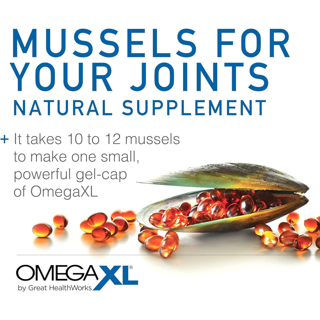OmegaXL Joint & Muscle Support 60 Softgels | Advanced Green-Lipped Mussel Omega-3 Complex