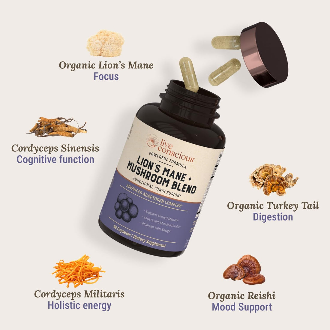 Live Conscious Lion’s Mane + Mushroom Blend 60 Capsules | Focus, Memory & Immune Support