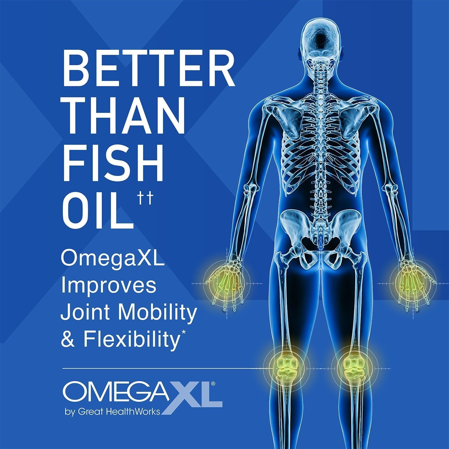 OmegaXL Joint & Muscle Support 60 Softgels | Advanced Green-Lipped Mussel Omega-3 Complex