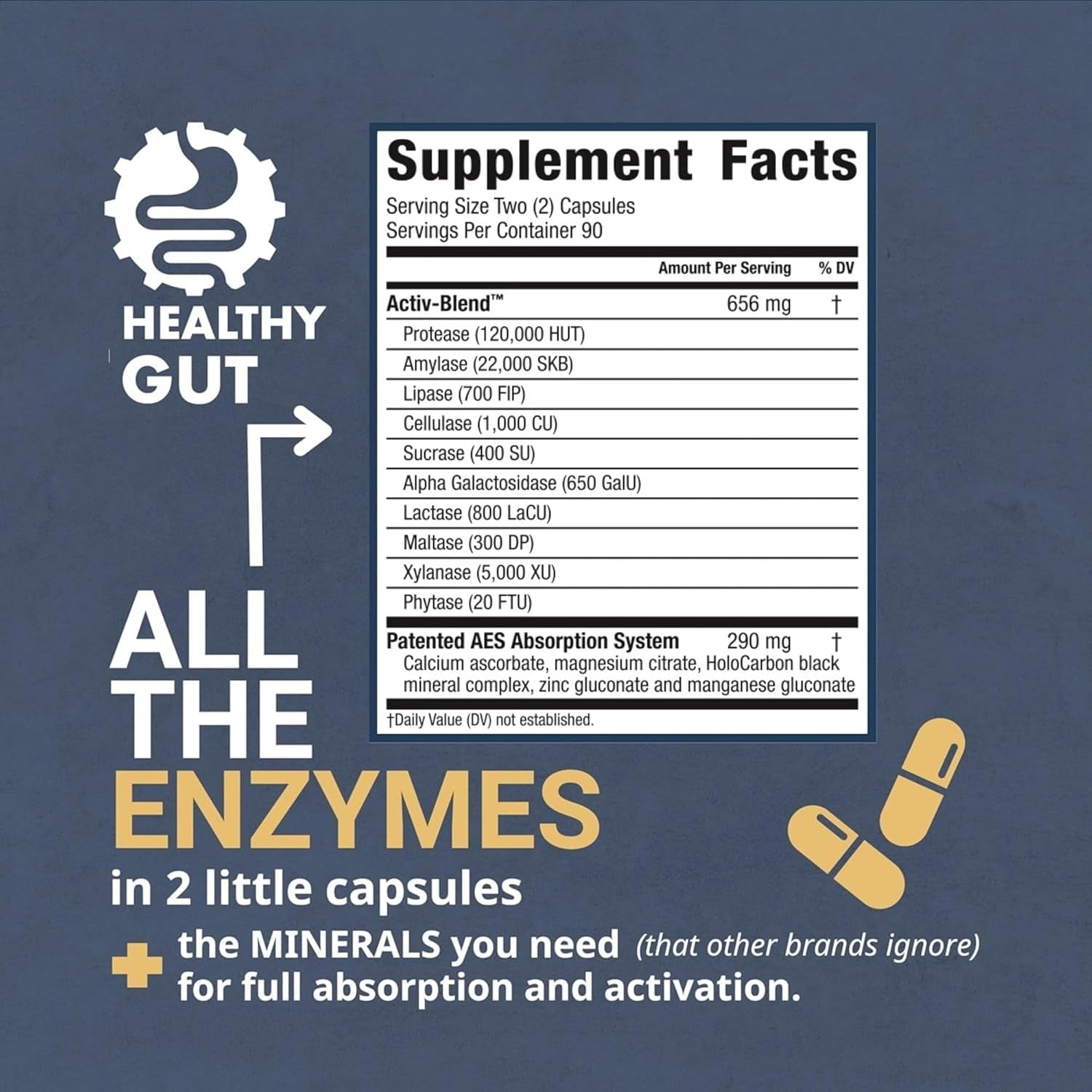 Healthy Gut HoloZyme Digestive Enzymes – 180 Capsules (90 Servings) | Clinically Proven Relief for Bloating, Gas & Gut Discomfort