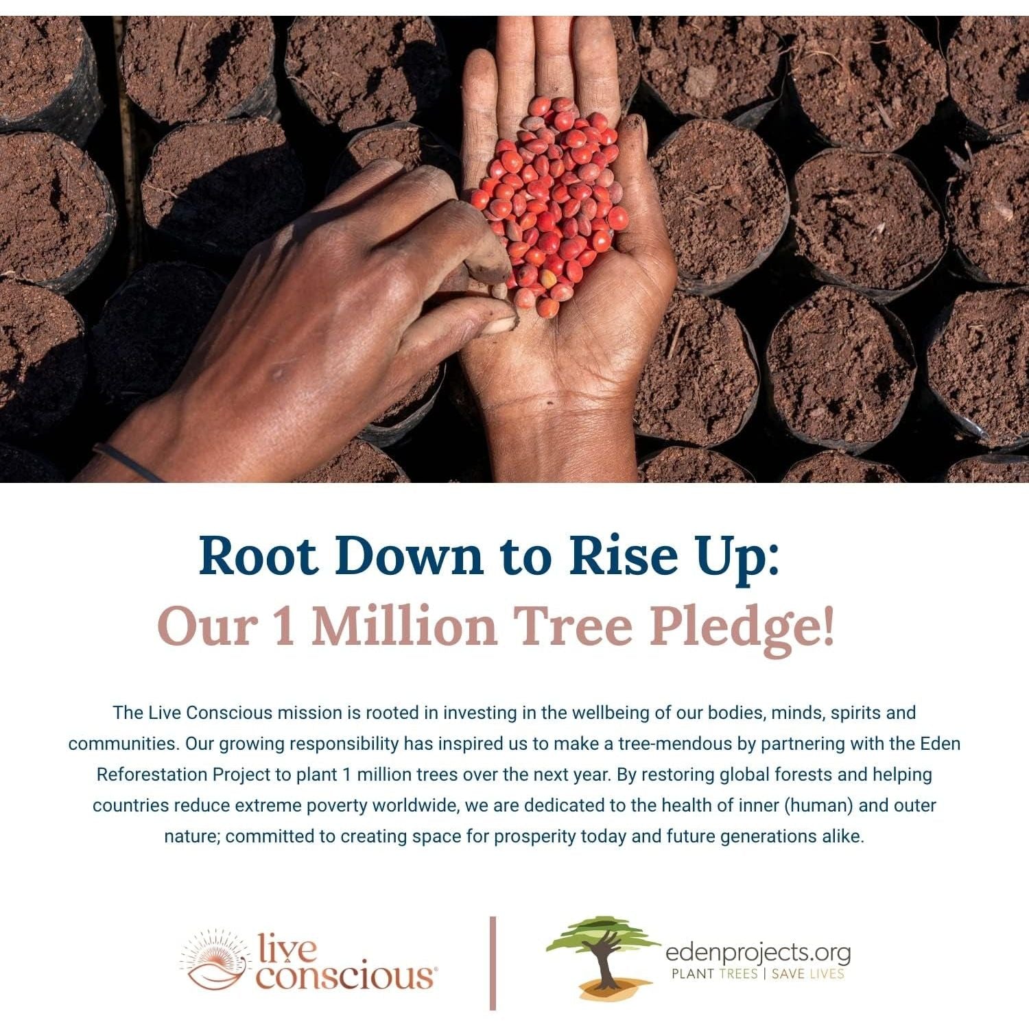 Live Conscious LIVERWELL 60 Capsules | Advanced Liver Detox, Antioxidant & Immune Support