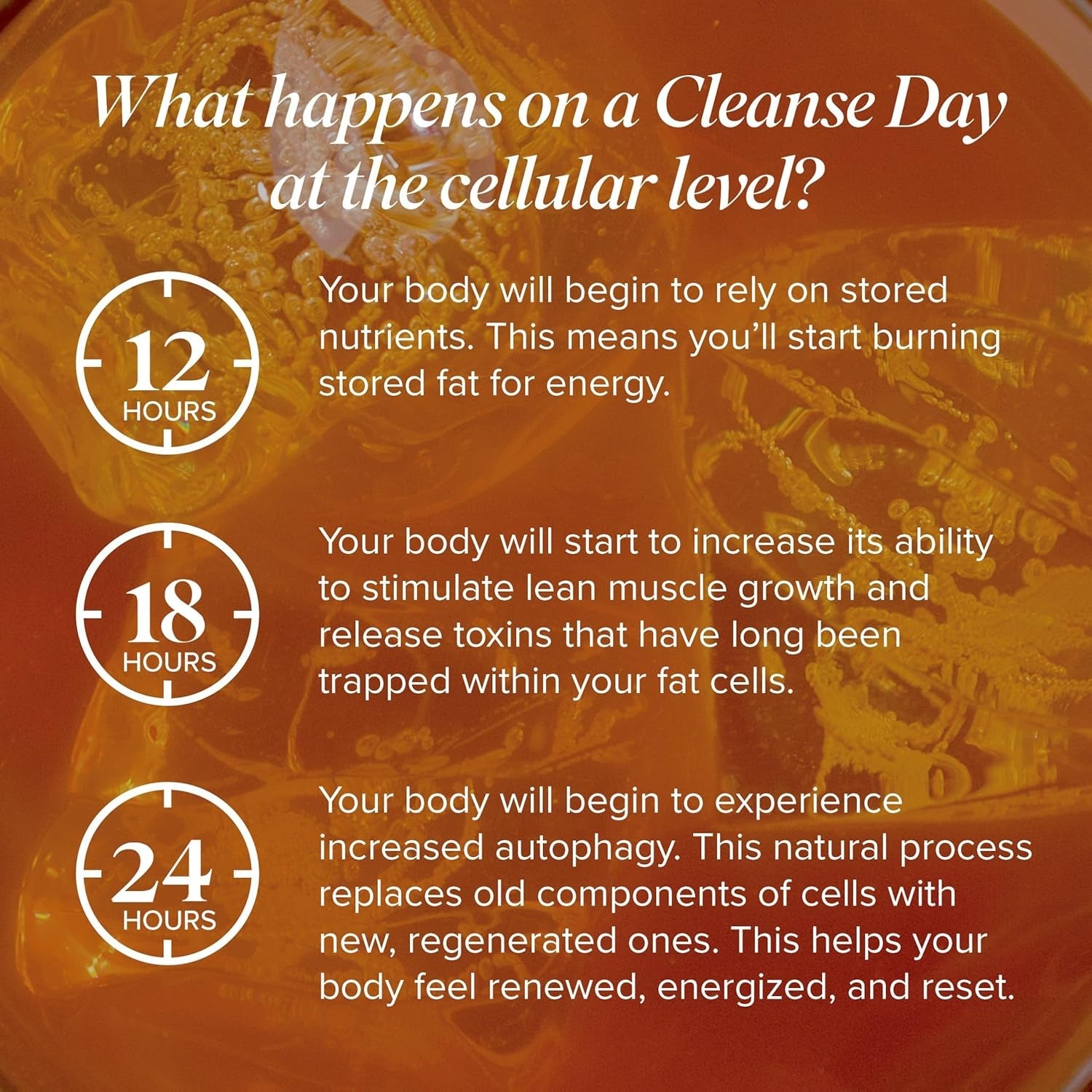 Isagenix Cleanse For Life – Peach Mango – 96g (16 Servings) | Daily Detox & Antioxidant Support Powder