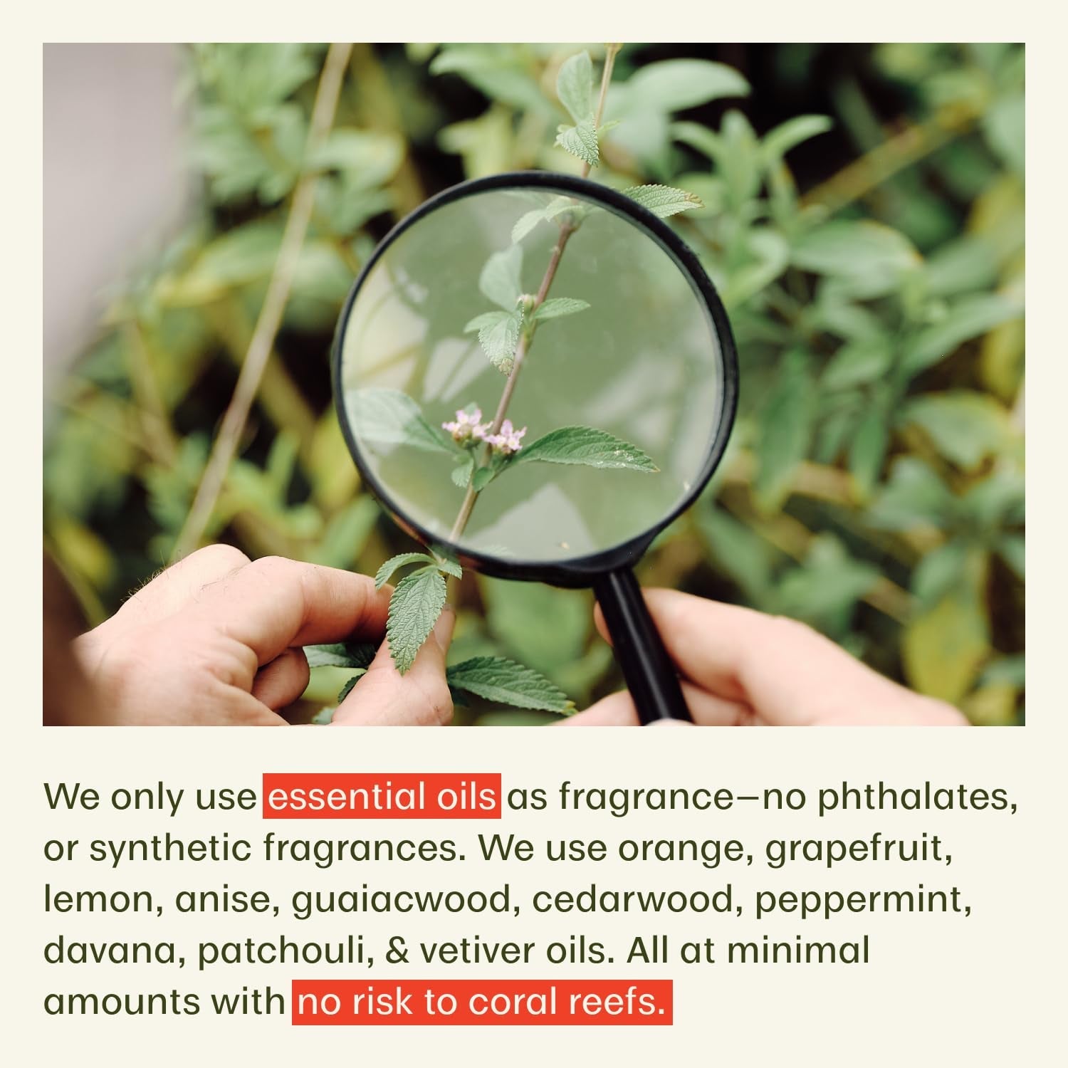 Thrive BodyShield SPF 50 Mineral Sunscreen 170g | Reef-Safe, Regenerative Plant-Powered Sun Protection