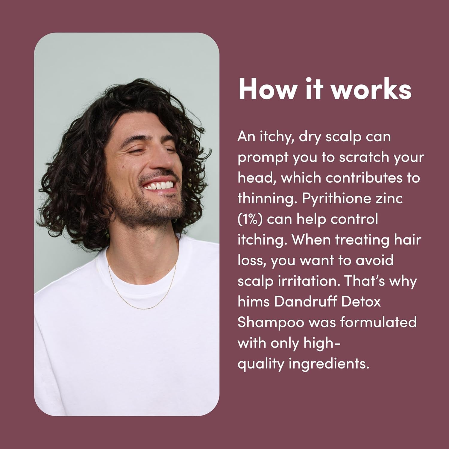 Hims Dandruff Detox Anti-Dandruff Shampoo  190ml (2 Pack) | Pyrithione Zinc & Argan Oil for Flake-Free, Healthy Hair