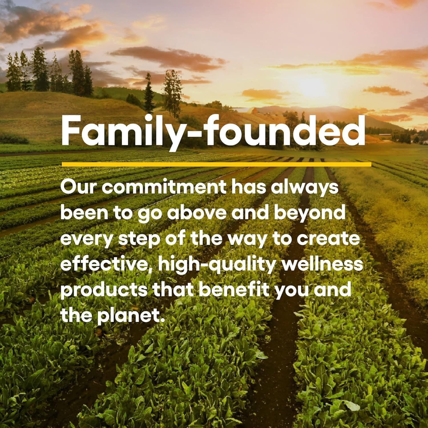 Natural Factors Stress-Relax Suntheanine L-Theanine 100mg 60 Chewable Tablets | Fast-Acting Stress Relief & Calm Focus (Tropical Fruit Flavor)