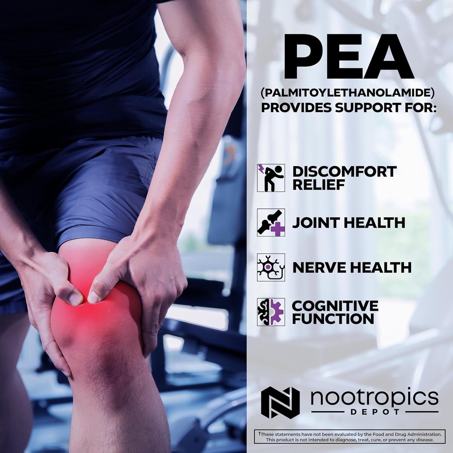 Nootropics Depot Palmitoylethanolamide Capsules 400mg 180 Capsules | Natural Discomfort & Nerve Support