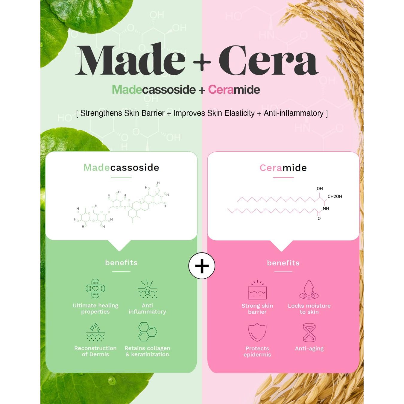 BEISIKS SKINRxLAB MadeCera Cream Mild Whipped Cleanser 100ml | Hydrating, Pore-Tightening Daily Face Wash