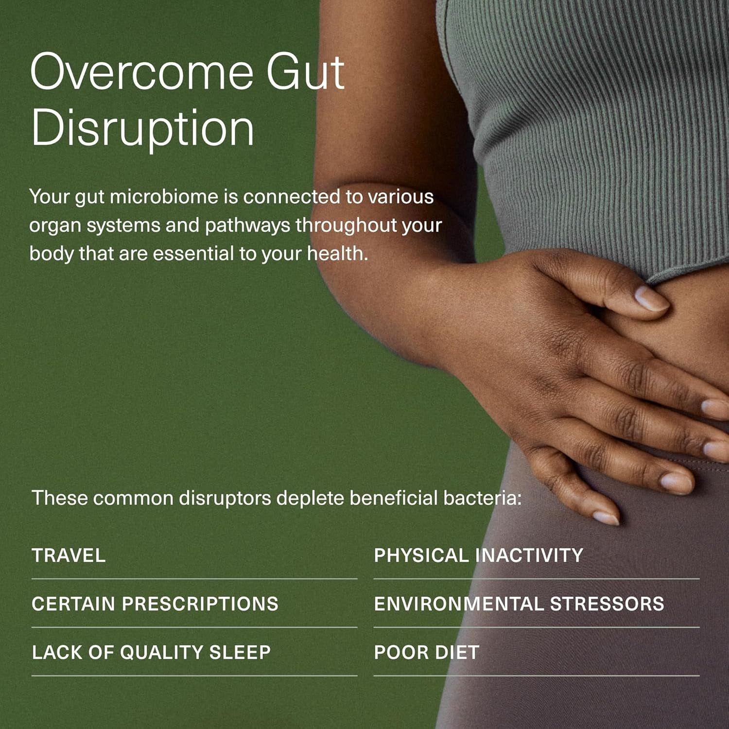 Seed DS-01? 14-Day Gut Reset - 28 Capsules | Rapid Gut Relief & Microbiome Support