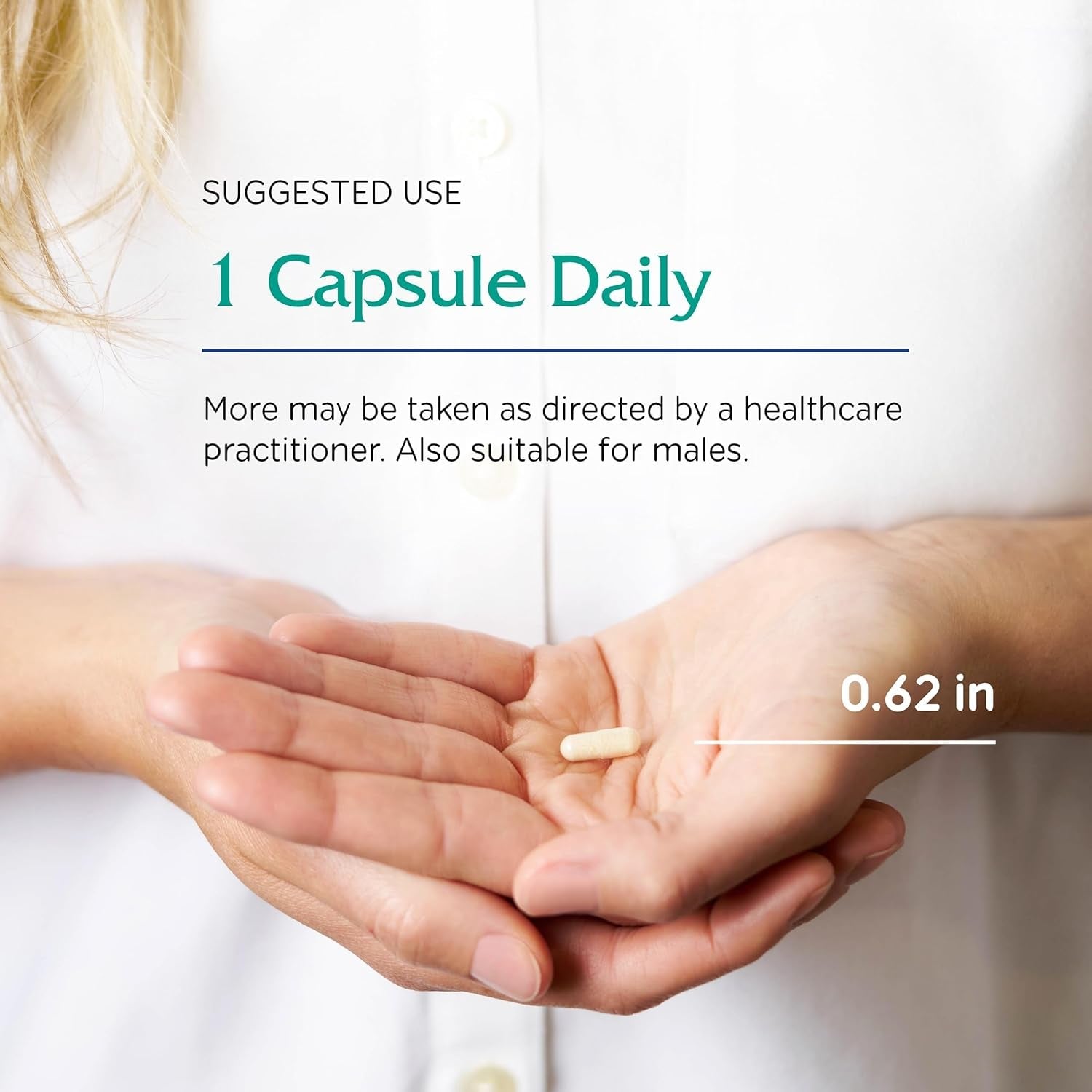 Vitanica Flora Symmetry 60 Capsules | Multi-Species Probiotic for Digestive & Gut Health