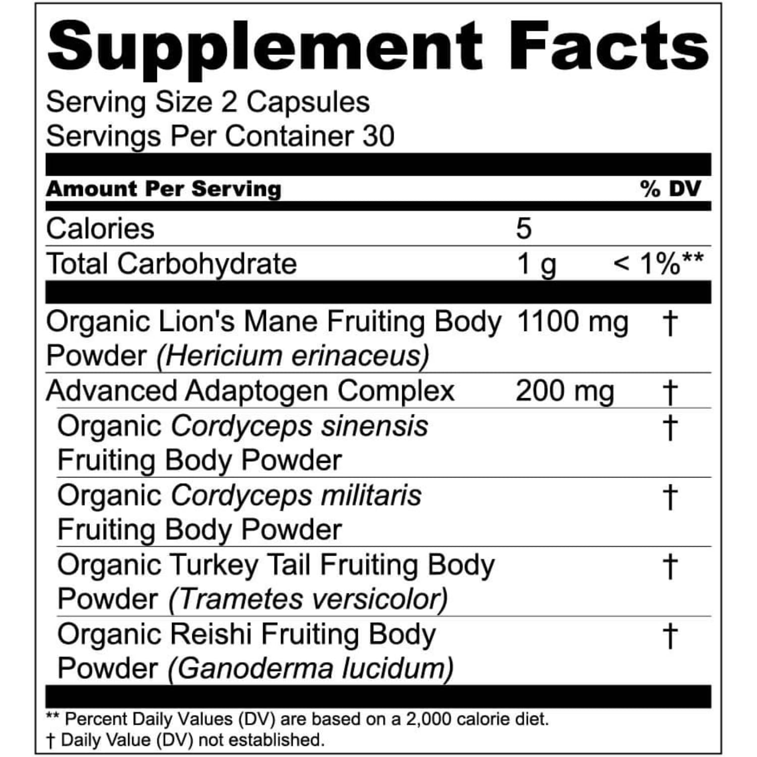 Live Conscious Lion’s Mane + Mushroom Blend 60 Capsules | Focus, Memory & Immune Support