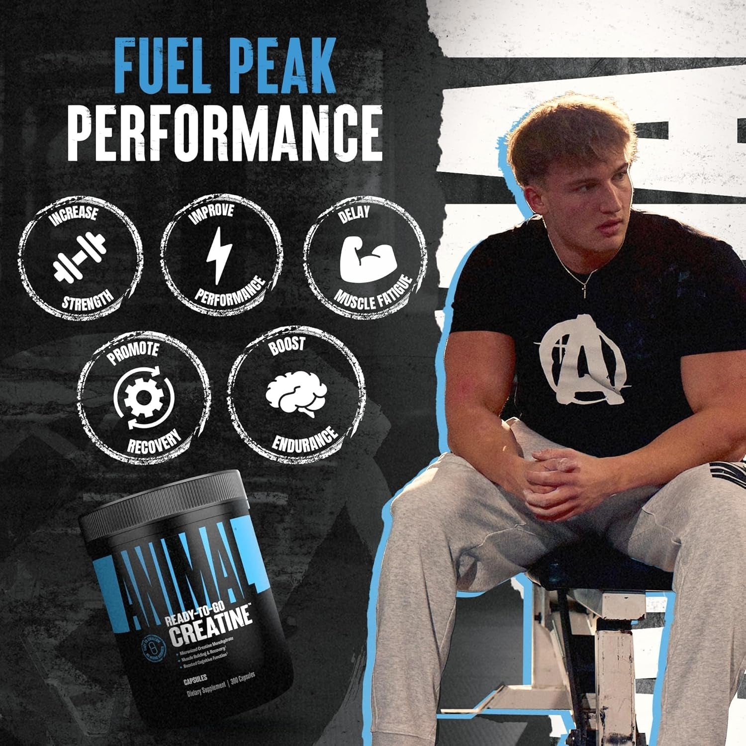 Animal Micronized Creatine Monohydrate Capsules 300 Caps | 2,500mg Per Serving for Muscle Growth & Recovery