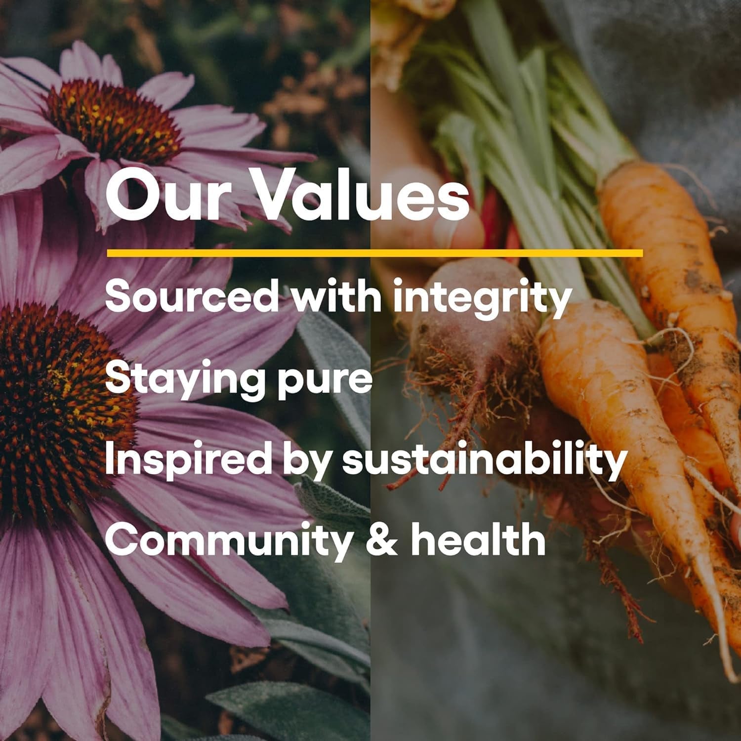 Natural Factors Stress-Relax Suntheanine L-Theanine 100mg 60 Chewable Tablets | Fast-Acting Stress Relief & Calm Focus (Tropical Fruit Flavor)