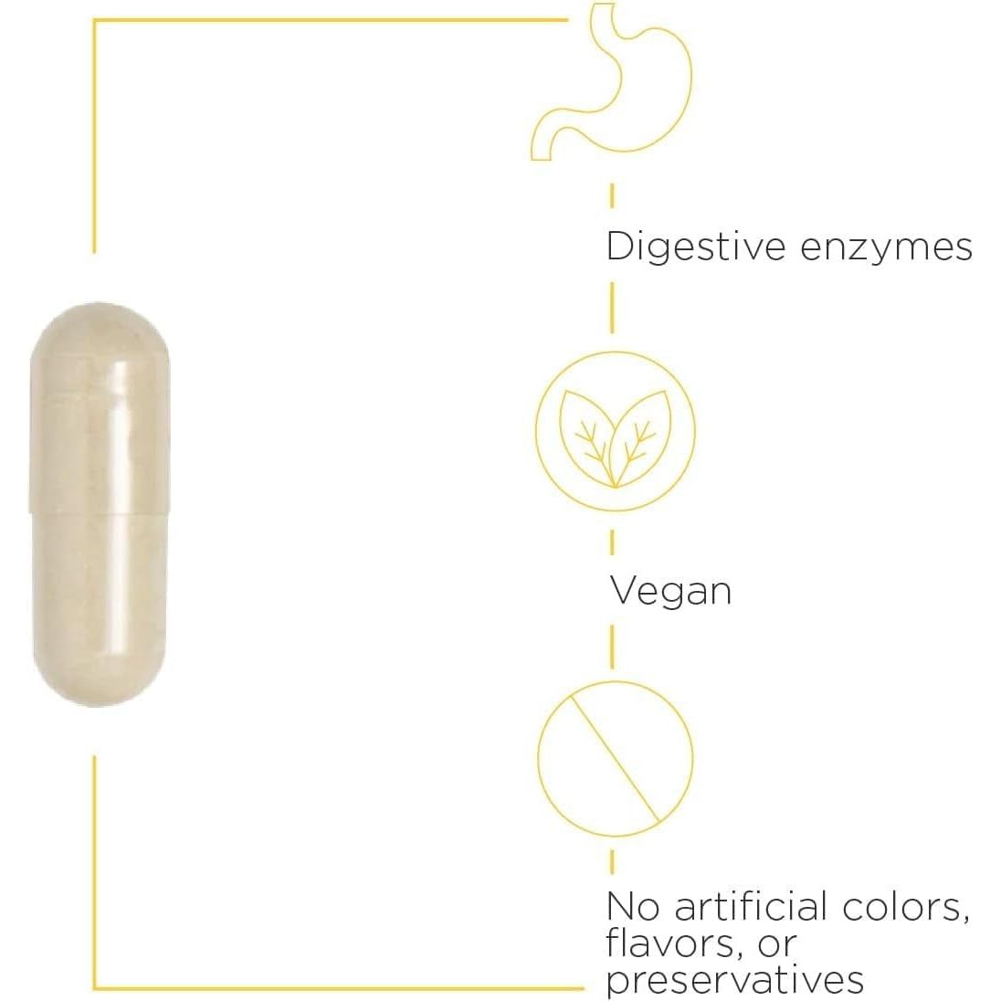 Integrative Therapeutics Similase Digestive Enzymes – 180 Capsules | Broad-Spectrum Plant-Based Digestive Support