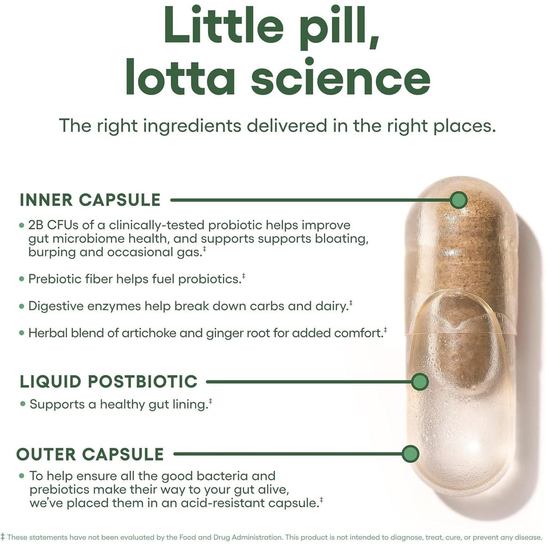 Physician's CHOICE Bloat + Gas Probiotic Supplement – 30 Capsules | 5-in-1 Digestive Support for Bloating, Gas & Gut Health