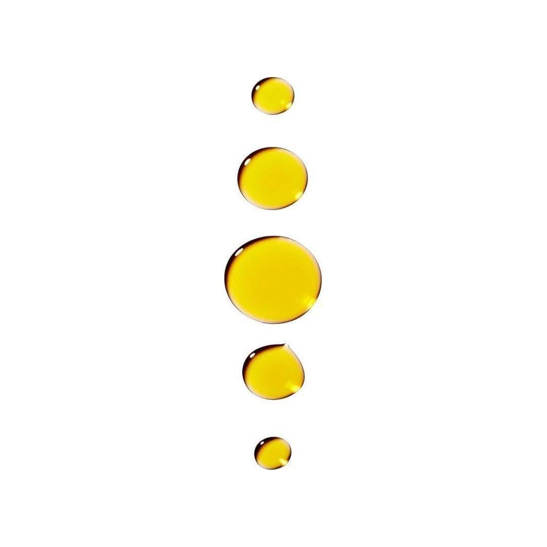 Codex Labs Bia Nourishing Facial Oil | Hydrating & Balancing Facial Oil for All Skin Types Codex Labs