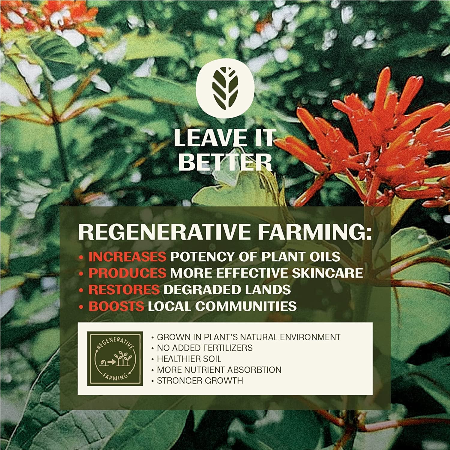 Thrive Skin Recovery Serum 30ml | Natural Anti-Aging Serum with Bakuchiol & Hyaluronic Acid