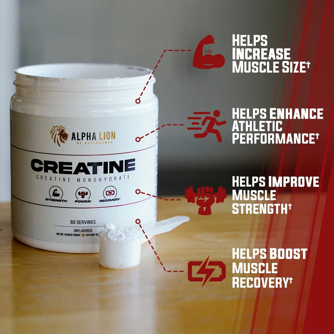 ALPHA LION Creatine Monohydrate Powder 300g (60 Servings) | 5g Pure Creatine | Strength, Size & Performance Boost