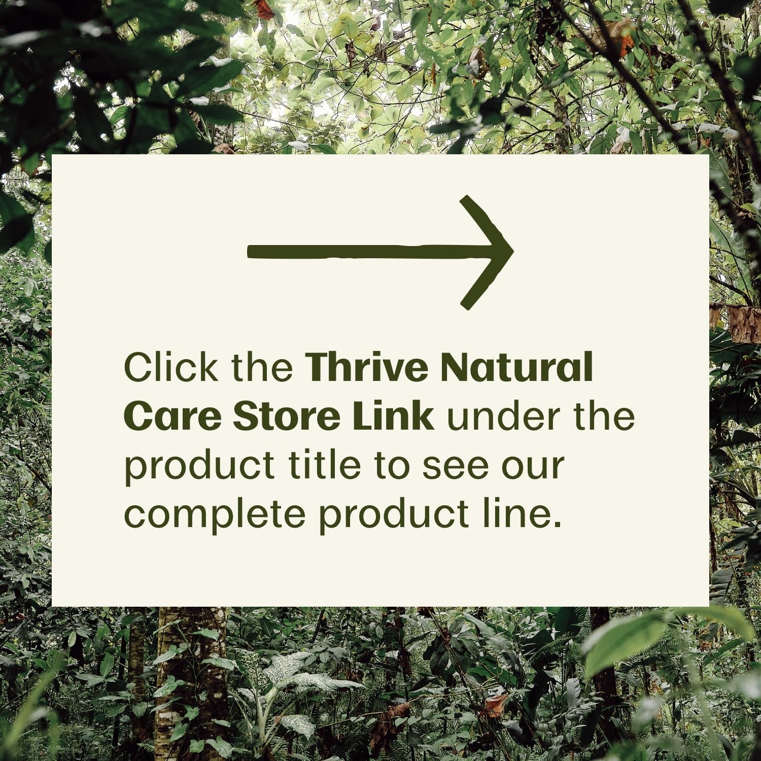 Thrive BodyShield SPF 50 Mineral Sunscreen 170g | Reef-Safe, Regenerative Plant-Powered Sun Protection