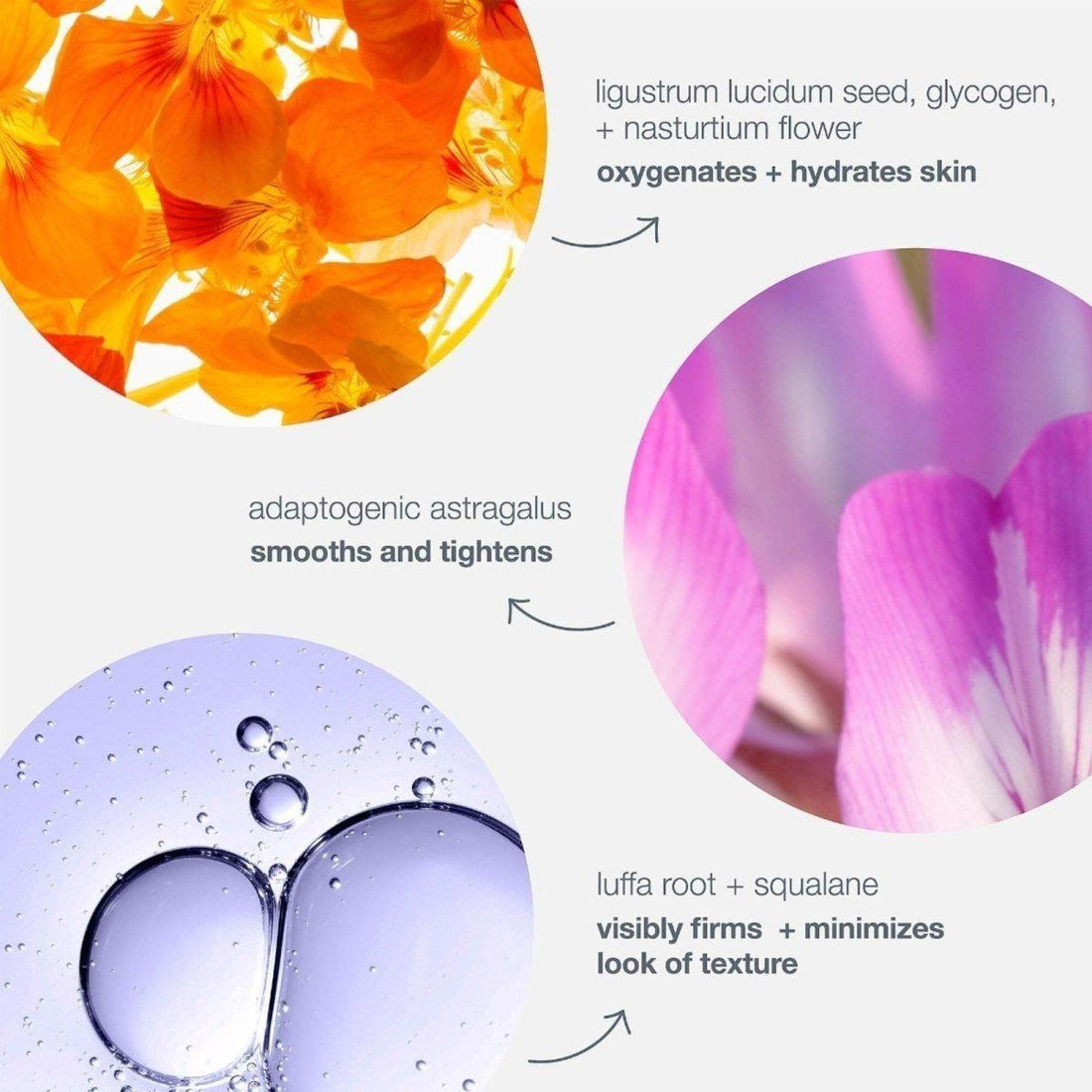 Dermalogica Phyto Nature Oxygen Cream 50ml | Firming & Rejuvenating Moisturiser