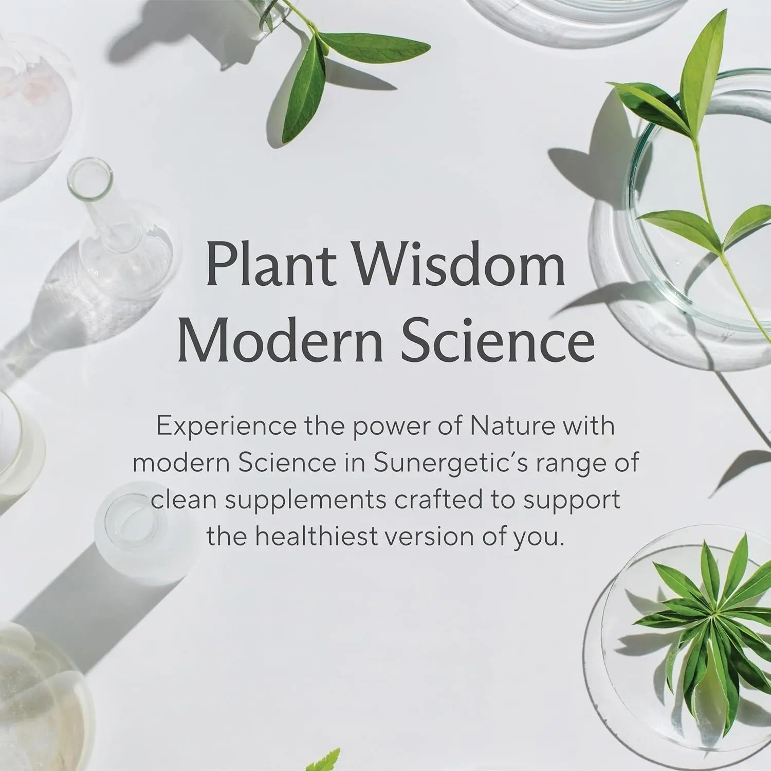 Sunergetic Vaginal Probiotic 60 Capsules | Clinically Studied UREX + Cranberry for pH Balance, Vaginal Flora & Urinary Tract Health