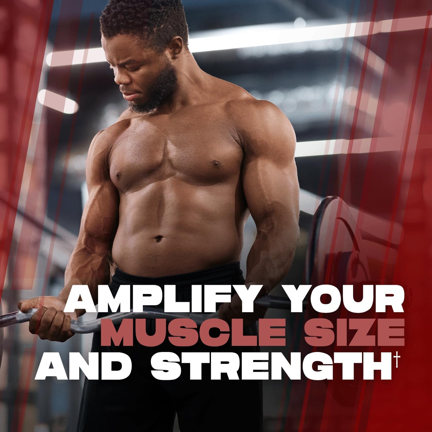 ALPHA LION Creatine Monohydrate Powder 300g (60 Servings) | 5g Pure Creatine | Strength, Size & Performance Boost