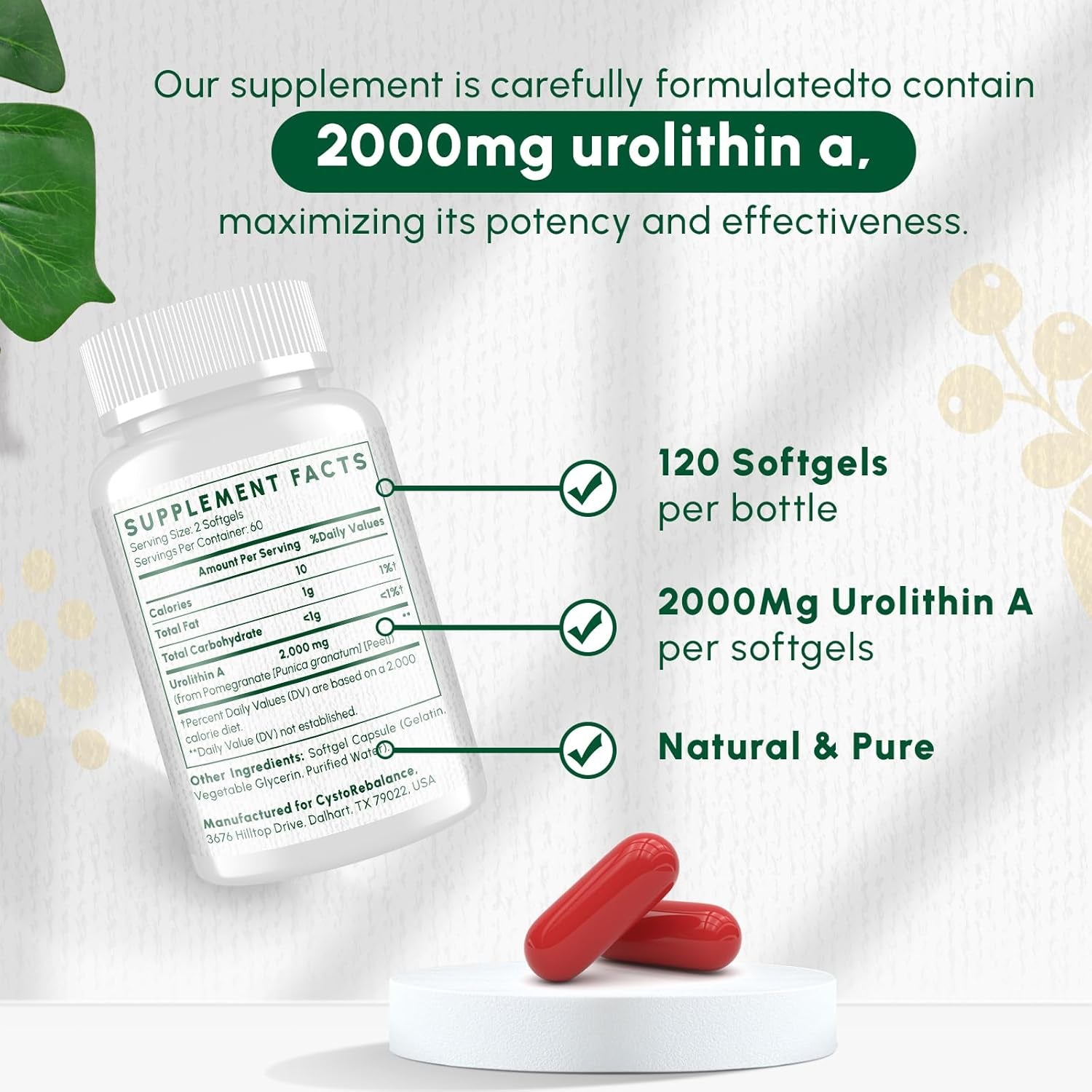 CystoRebalance Urolithin A - 120 Softgels | 2000mg High-Absorption Cellular Health Supplement