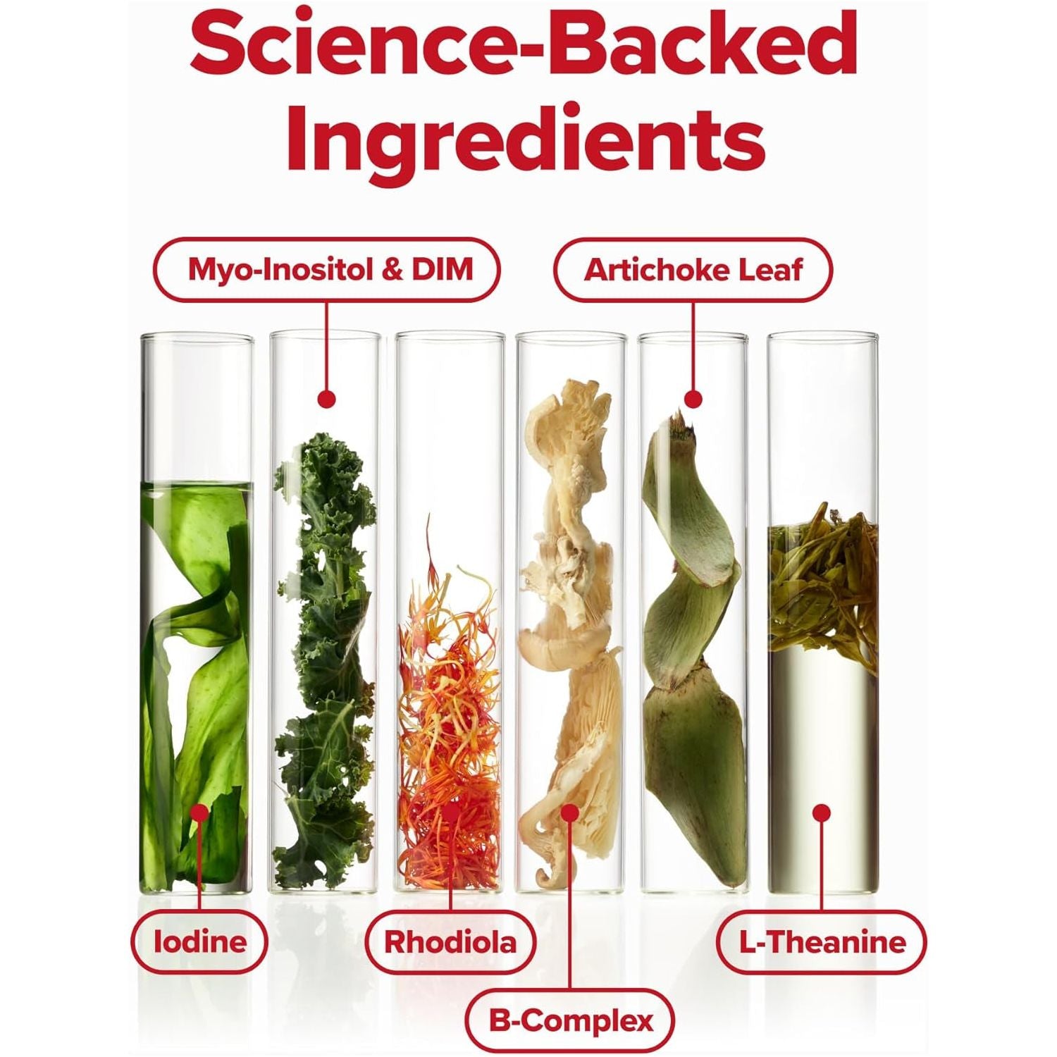 O Positiv FLO Women's Endocrine Superfood Powder 25 Servings