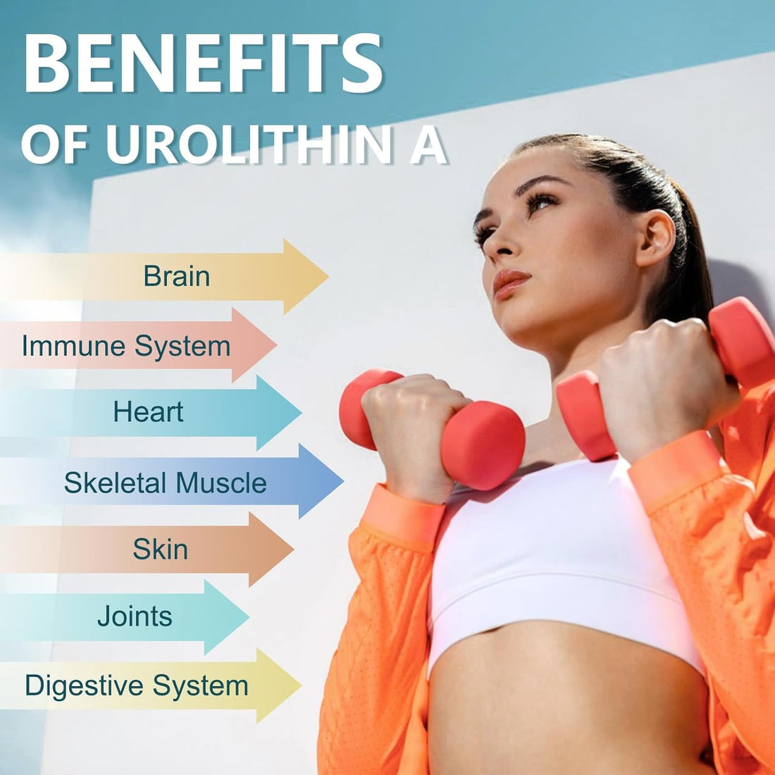 Totaria Urolithin A + NAD+ + CoQ10 + Resveratrol + PQQ 120 Softgels | Cellular Energy, Mitochondrial & Anti-Aging Support