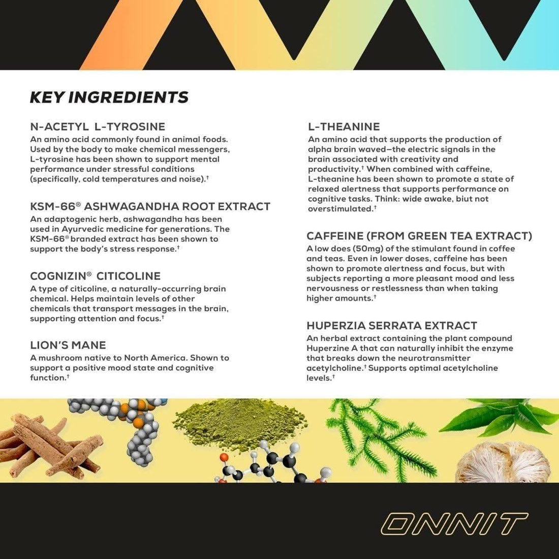 Onnit Alpha BRAIN Focus Energy Shot - Peach (75ml, 6 Ct) | Brain Booster for Energy, Focus & Stress Support