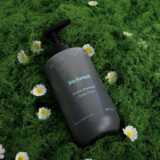 NEOGEN Reforest Protein Shampoo (Herbal Scent) ¨C 500ml | Strengthens Roots & Soothes Dry Scalp