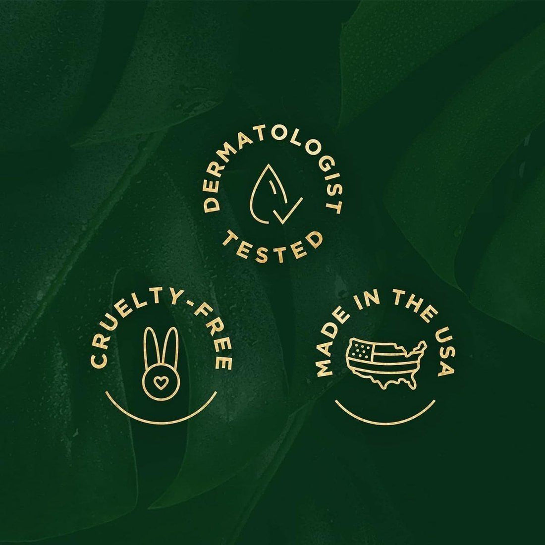 Tree of Life Vitamin C Brightening Serum & Retinol Firming Serum 2 Pack | AM & PM Duo for Radiance & Firmness Tree Of Life