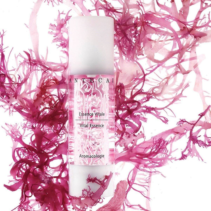 Chantecaille Vital Essence Face and Eye Serum | Hydrating & Rejuvenating Botanical Serum Chantecaille